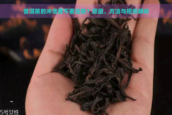 普洱茶的冲泡要不要洗茶？原因、方法与视频解析