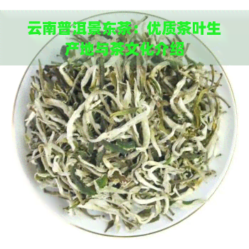 云南普洱景东茶：优质茶叶生产地与茶文化介绍