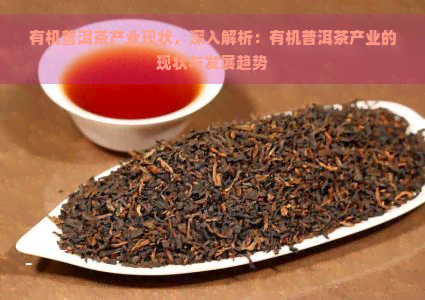 有机普洱茶产业现状，深入解析：有机普洱茶产业的现状与发展趋势