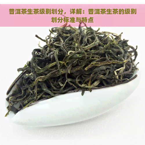 普洱茶生茶级别划分，详解：普洱茶生茶的级别划分标准与特点