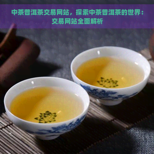 中茶普洱茶交易网站，探索中茶普洱茶的世界：交易网站全面解析