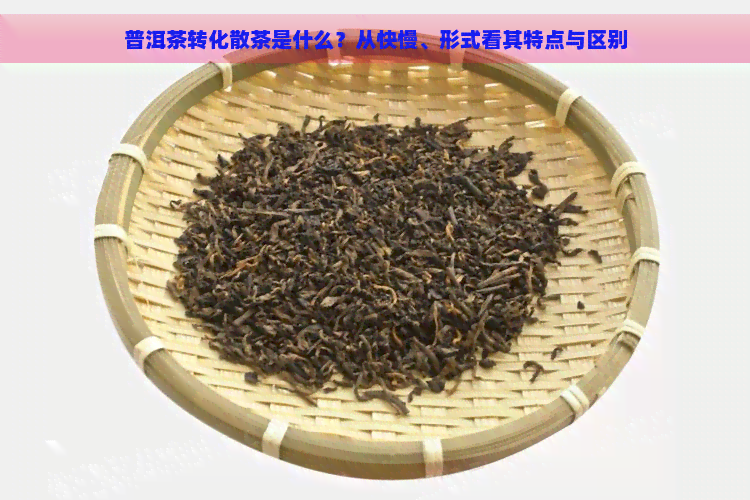 普洱茶转化散茶是什么？从快慢、形式看其特点与区别