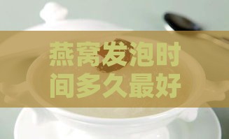 燕窝发泡时间多久更好：食用与泡饮的更佳时长探讨