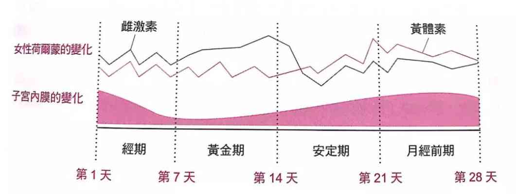 燕窝雌激素补充周期与效果显现时长探究