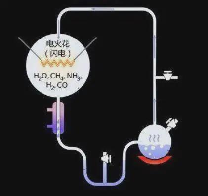 探究燕窝是否能够补充雌激素：科学解析其作用机制