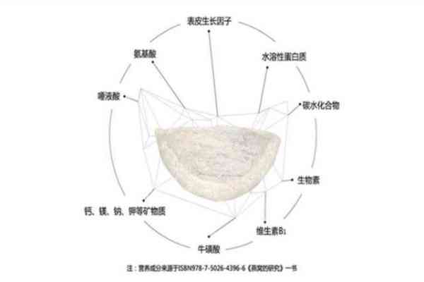 燕窝的消化吸收时间：了解燕窝在胃中的分解过程及营养吸收效率