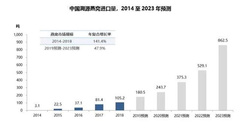 燕窝吸收时间解析：多久才能被身体完全吸收及吸收效率影响因素探究