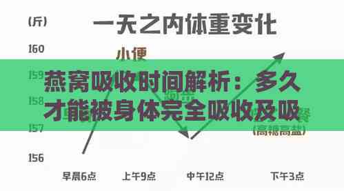 燕窝吸收时间解析：多久才能被身体完全吸收及吸收效率影响因素探究