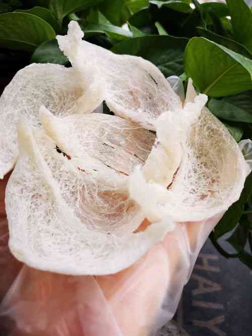 龙须雪燕窝浸泡多久