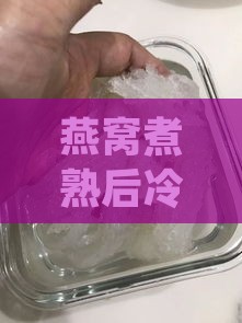 燕窝煮熟后冷冻保存，解冻后食用是否安全与营养解析