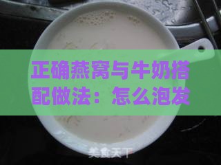 正确燕窝与牛奶搭配做法：怎么泡发窝的美食多久可以享用