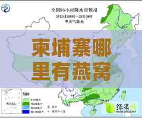 柬埔寨哪里有燕窝卖呀：产区及价格一览