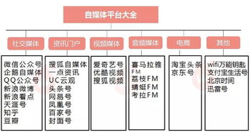 全面指南：燕窝购买渠道、推荐与选购技巧