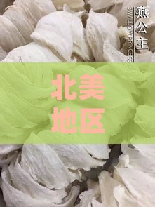 北美地区精选燕窝推荐：哪里购买质量上乘的燕窝？