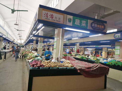 到哪里可以进货燕窝食品：场与实体店推荐指南