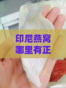 印尼燕窝哪里有正品