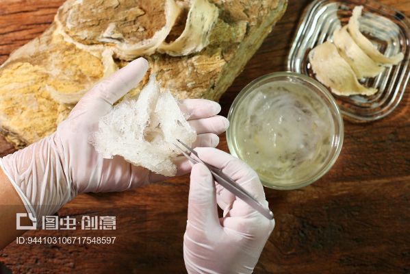 '专业燕窝制作培训：哪里学习燕窝烹饪技巧与秘诀'