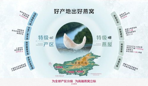 探寻燕窝正宗产地：全球燕窝优质来源一览与选购指南