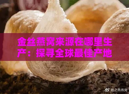 金丝燕窝来源在哪里生产：探寻全球更佳产地及其生产地详情