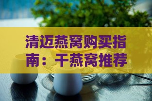 清迈燕窝购买指南：干燕窝推荐店铺与挑选攻略