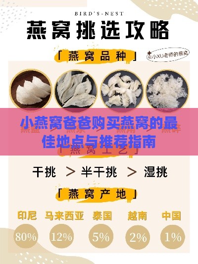 小燕窝爸爸购买燕窝的更佳地点与推荐指南