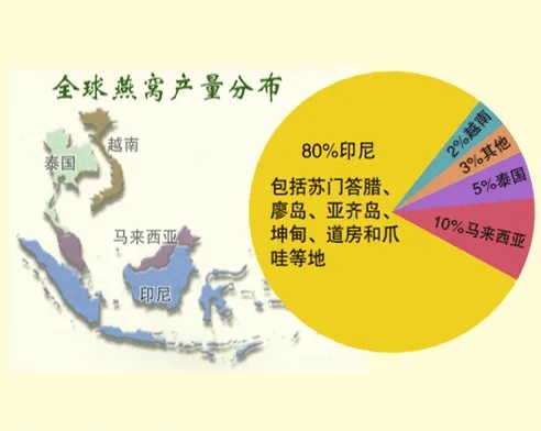 揭秘燕窝：东南亚地区如何成为全球燕窝主要产地聚集地