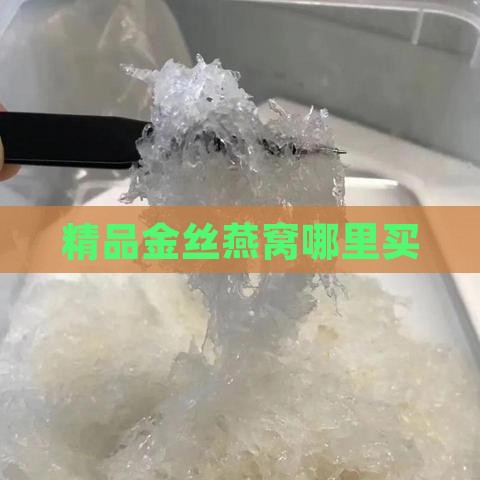 精品金丝燕窝哪里买