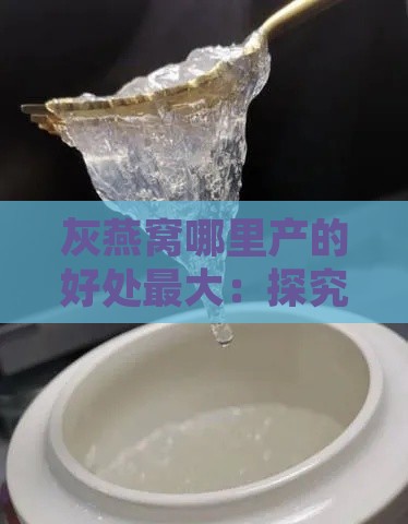 灰燕窝哪里产的好处更大：探究各地灰燕窝优势与功效对比分析