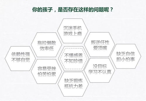 揭秘燕窝的生长环境与产地分布：探寻燕窝的天然来源与采集过程