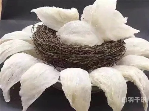 湛江哪里买干燕窝好呢：燕窝市场批发与价格一览