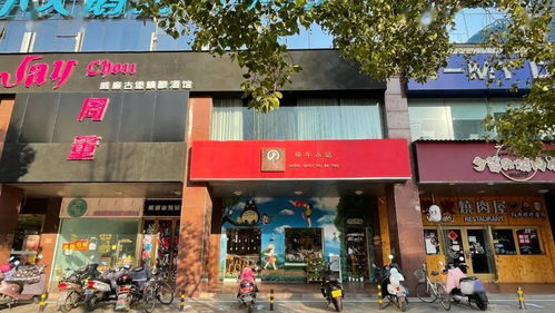 肥城哪里卖燕窝好点呢：推荐店铺及价格一览