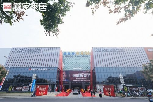 衡阳燕窝集中市场：探寻衡阳市内热门燕窝销售地