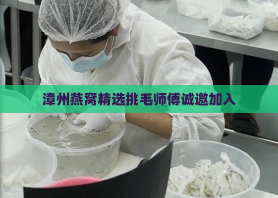 漳州燕窝精选挑毛师傅诚邀加入