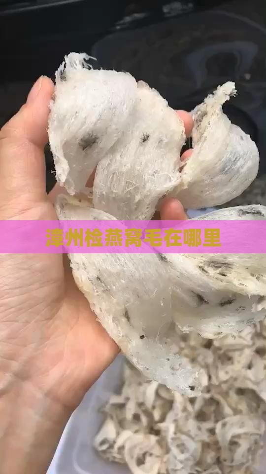 漳州检燕窝毛在哪里