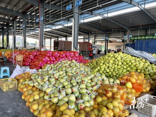 诏安地区批发水果市场详探：精选优质果品集中批发地