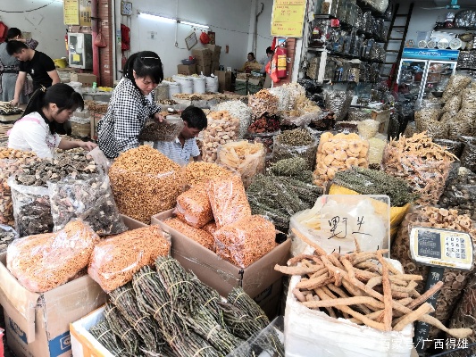 永康药材场在哪里进货及选购指南