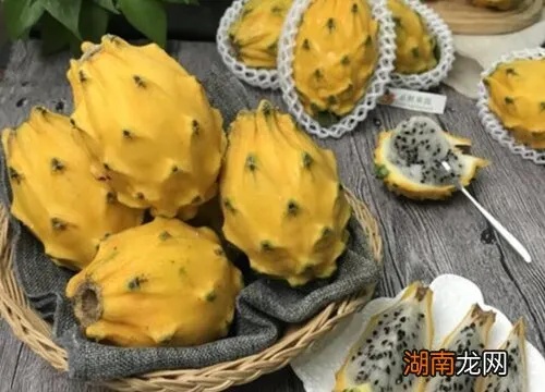 云南哪里种植燕窝果更好：品味更优产地与场指南