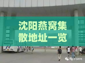 沈阳燕窝集散地址一览：探寻沈阳专业燕窝场所在地