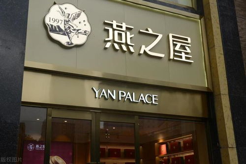 哈尔滨燕之屋燕窝哪里有卖：专卖店地址与地点查询