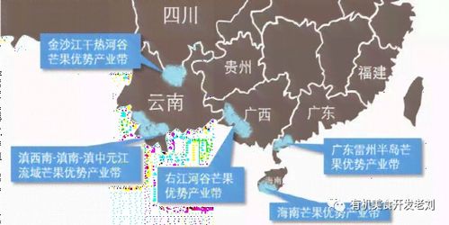 全球燕窝产地一览：探寻顶级燕窝的采集地与分布情况