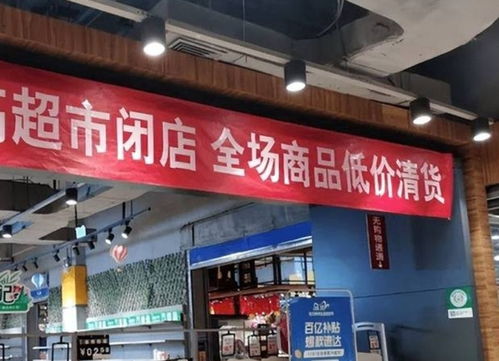 长兴哪里有卖燕窝：燕窝店及嘉兴相关售卖地点一览