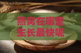 燕窝在哪里生长最快呢：燕窝的生长地点及最快生长区域探讨