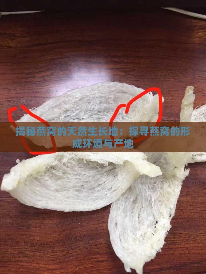 揭秘燕窝的天然生长地：探寻燕窝的形成环境与产地