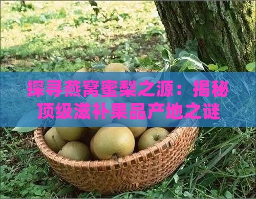 探寻燕窝蜜梨之源：揭秘顶级滋补果品产地之谜