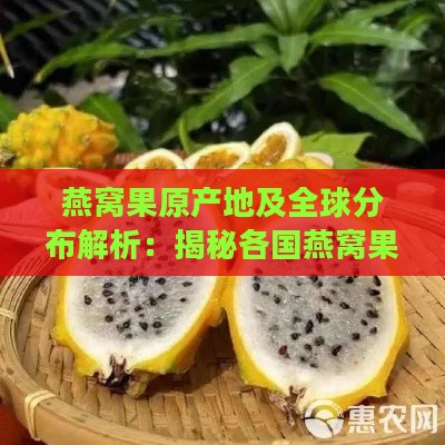 燕窝果原产地及全球分布解析：揭秘各国燕窝果种植区域与特色