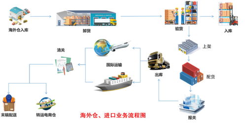 海沧燕窝集散：一站式燕窝采购、加工、仓储与分销服务指南