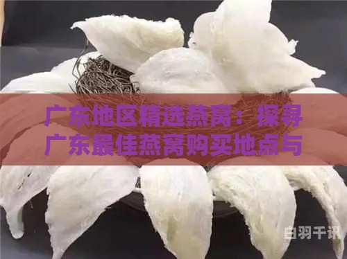 广东地区精选燕窝：探寻广东更佳燕窝购买地点与推荐商家