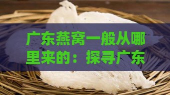 广东燕窝一般从哪里来的：探寻广东燕窝产地之谜