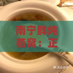 南宁鲜炖燕窝：正宗店铺地址与美味价格一览