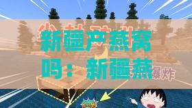 新疆产燕窝吗：新疆燕窝水世界认可度及新疆特产在内地的口碑